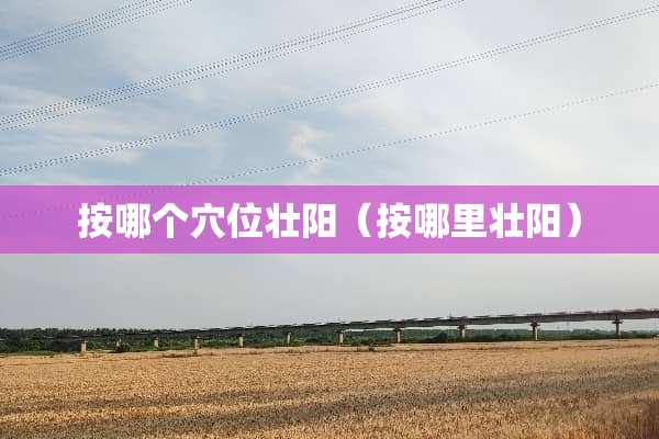 按哪个*位壮阳（按哪里壮阳）