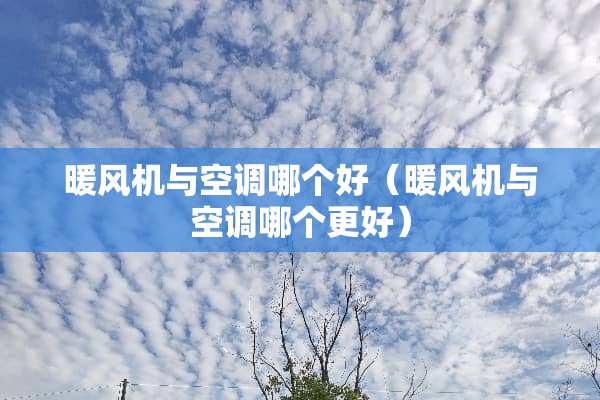 暖风机与空调哪个好（暖风机与空调哪个更好）