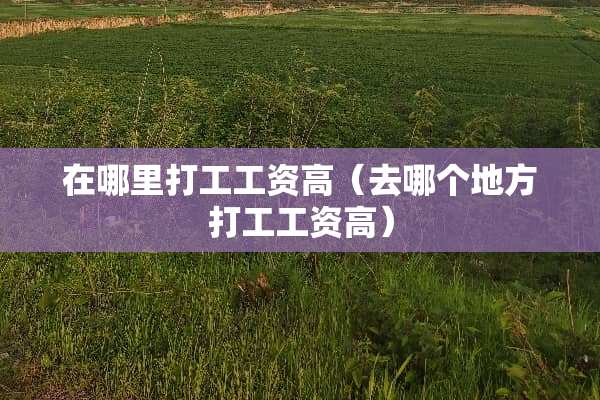 在哪里打工工资高（去哪个地方打工工资高）
