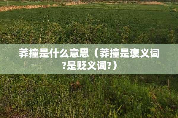 莽撞是什么意思（莽撞是褒义词?是贬义词?）