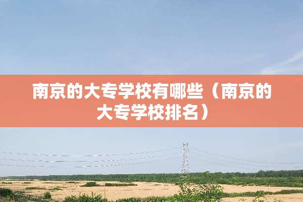 南京的大专学校有哪些（南京的大专学校排名）