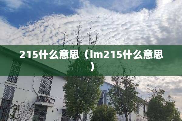 215什么意思（im215什么意思）