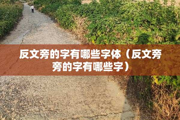 反文旁的字有哪些字体（反文旁旁的字有哪些字）