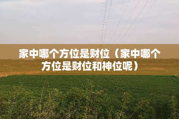 家中哪个方位是财位（家中哪个方位是财位和神位呢）