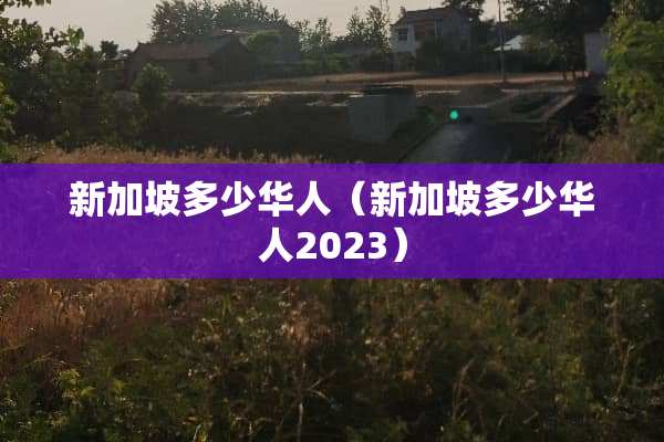 新加坡多少华人（新加坡多少华人2023）