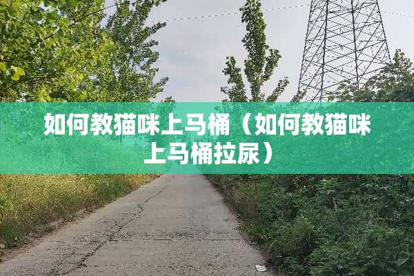 如何教猫咪上马桶（如何教猫咪上马桶拉尿）