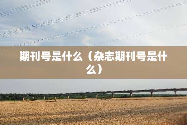 期刊号是什么（杂志期刊号是什么）