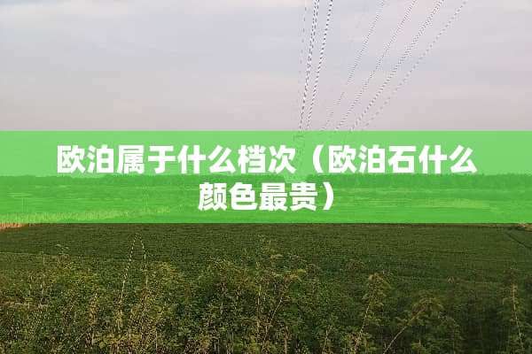 欧泊属于什么档次（欧泊石什么颜色最贵）