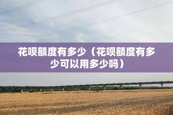 花呗额度有多少（花呗额度有多少可以用多少吗）