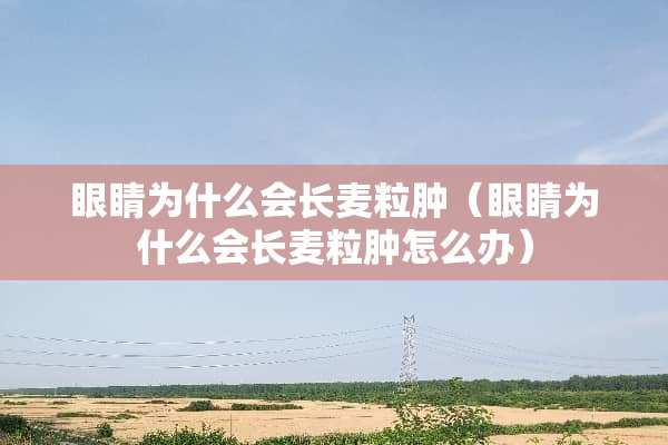 眼睛为什么会长麦粒肿（眼睛为什么会长麦粒肿怎么办）