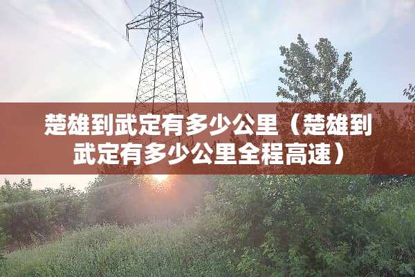 楚雄到武定有多少公里（楚雄到武定有多少公里全程高速）