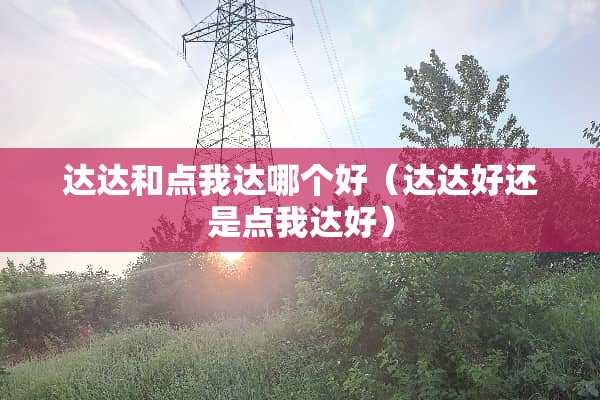 达达和点我达哪个好（达达好还是点我达好）