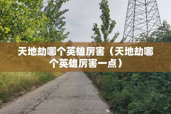 天地劫哪个英雄厉害（天地劫哪个英雄厉害一点）