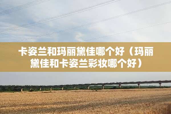 卡姿兰和玛丽黛佳哪个好（玛丽黛佳和卡姿兰彩妆哪个好）