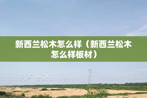 新西兰松木怎么样（新西兰松木怎么样板材）