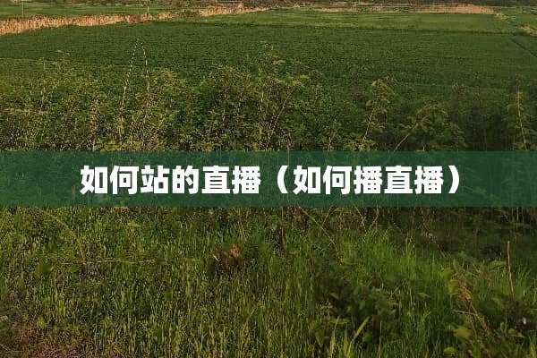 如何站的直播（如何播直播）