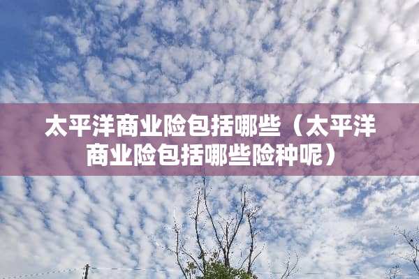 太平洋商业险包括哪些（太平洋商业险包括哪些险种呢）