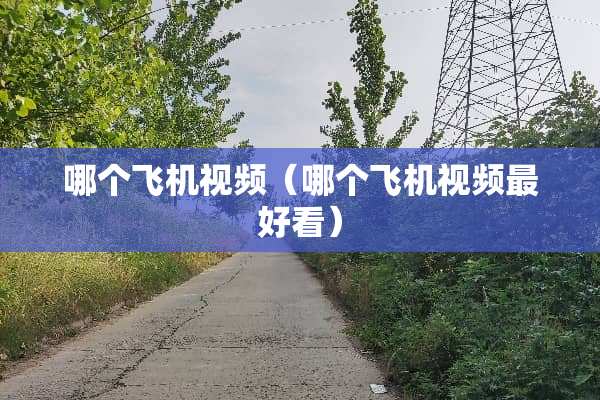 哪个飞机视频（哪个飞机视频最好看）