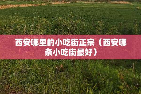 西安哪里的小吃街正宗（西安哪条小吃街最好）