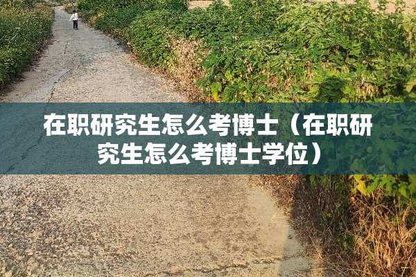 在职研究生怎么考博士（在职研究生怎么考博士学位）