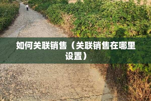 如何关联销售（关联销售在哪里设置）