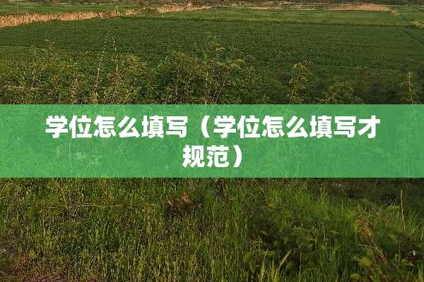 学位怎么填写（学位怎么填写才规范）