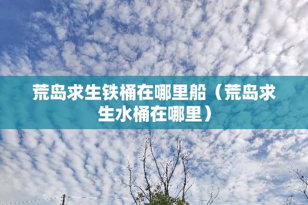 荒岛求生铁桶在哪里船（荒岛求生水桶在哪里）