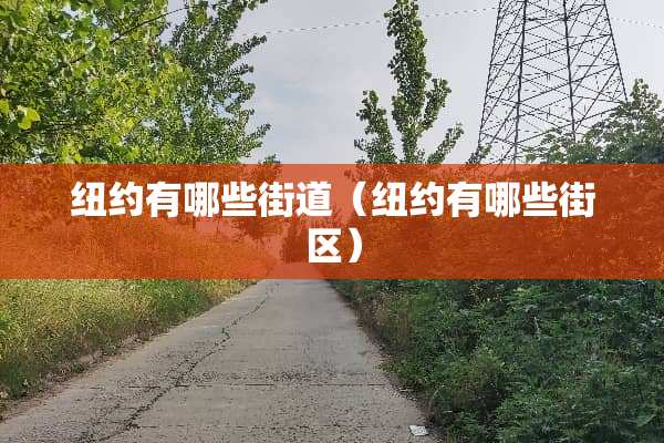 纽约有哪些街道（纽约有哪些街区）