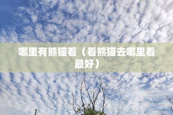 哪里有熊猫看（看熊猫去哪里看最好）