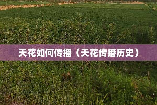 天花如何传播（天花传播历史）