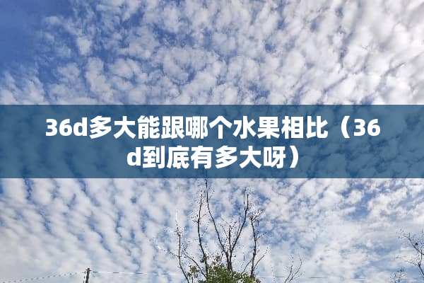 36d多大能跟哪个水果相比（36d到底有多大呀）