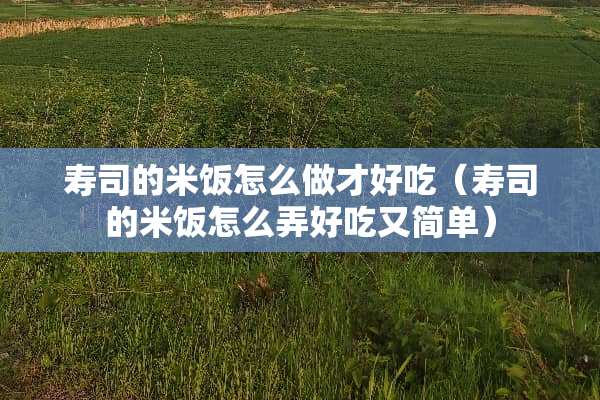 寿司的米饭怎么做才好吃（寿司的米饭怎么弄好吃又简单）