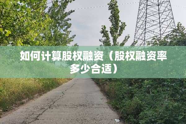 如何计算股权融资（股权融资率多少合适）