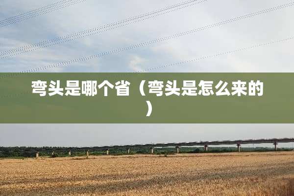 弯头是哪个省（弯头是怎么来的）