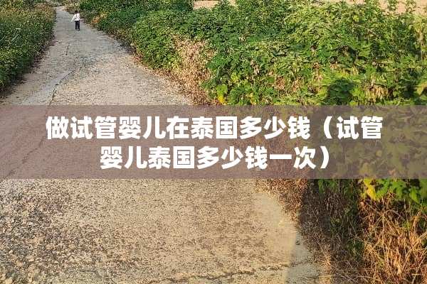 做试管婴儿在泰国多少钱（试管婴儿泰国多少钱一次）