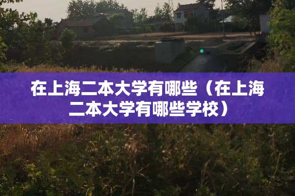 在上海二本大学有哪些（在上海二本大学有哪些学校）