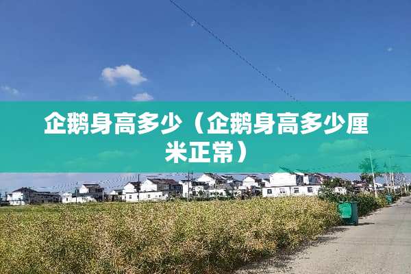 企鹅身高多少（企鹅身高多少厘米正常）