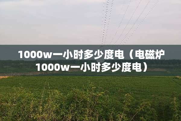 1000w一小时多少度电（电磁炉1000w一小时多少度电）