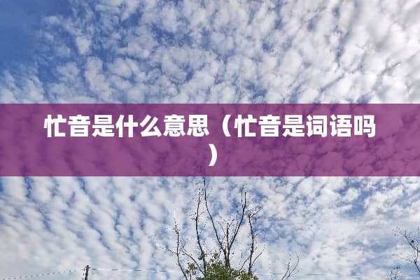 忙音是什么意思（忙音是词语吗）
