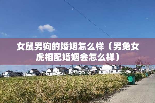 女鼠男狗的婚姻怎么样（男兔女虎相配婚姻会怎么样）