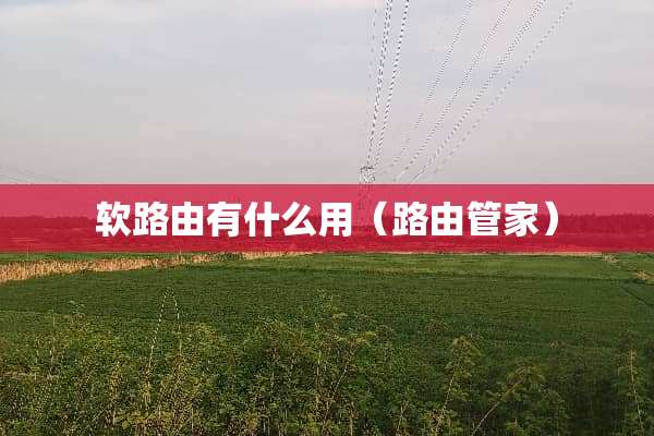 软路由有什么用（路由管家）