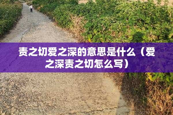 责之切爱之深的意思是什么（爱之深责之切怎么写）