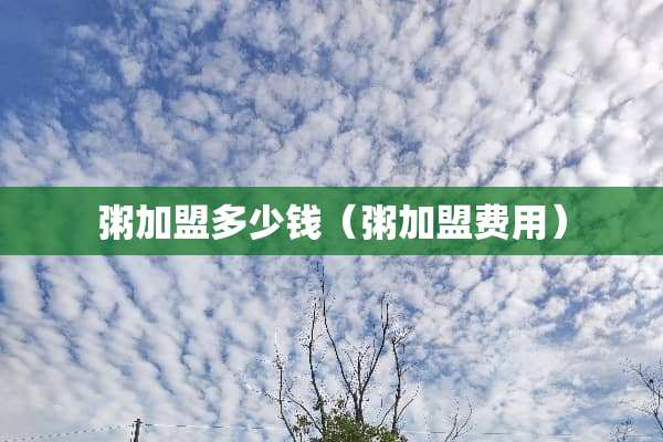 粥加盟多少钱（粥加盟费用）