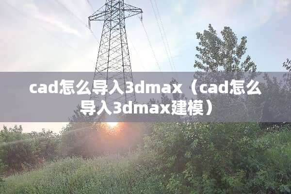cad怎么导入3dmax（cad怎么导入3dmax建模）