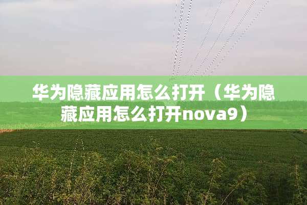 华为隐藏应用怎么打开（华为隐藏应用怎么打开nova9）