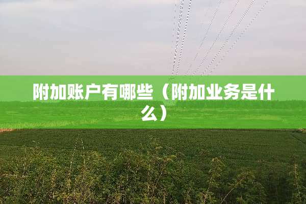 附加账户有哪些（附加业务是什么）