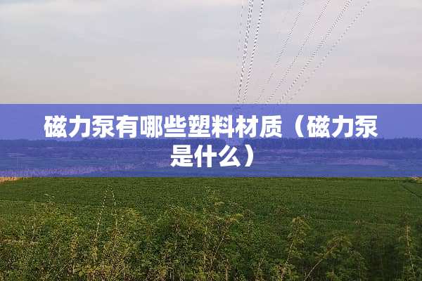 磁力泵有哪些塑料材质（磁力泵是什么）