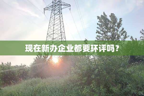 现在新办企业都要环评吗？