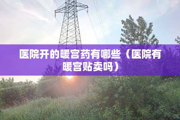 医院开的暖宫药有哪些（医院有暖宫贴卖吗）