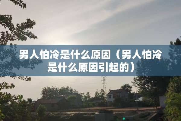 男人怕冷是什么原因（男人怕冷是什么原因引起的）